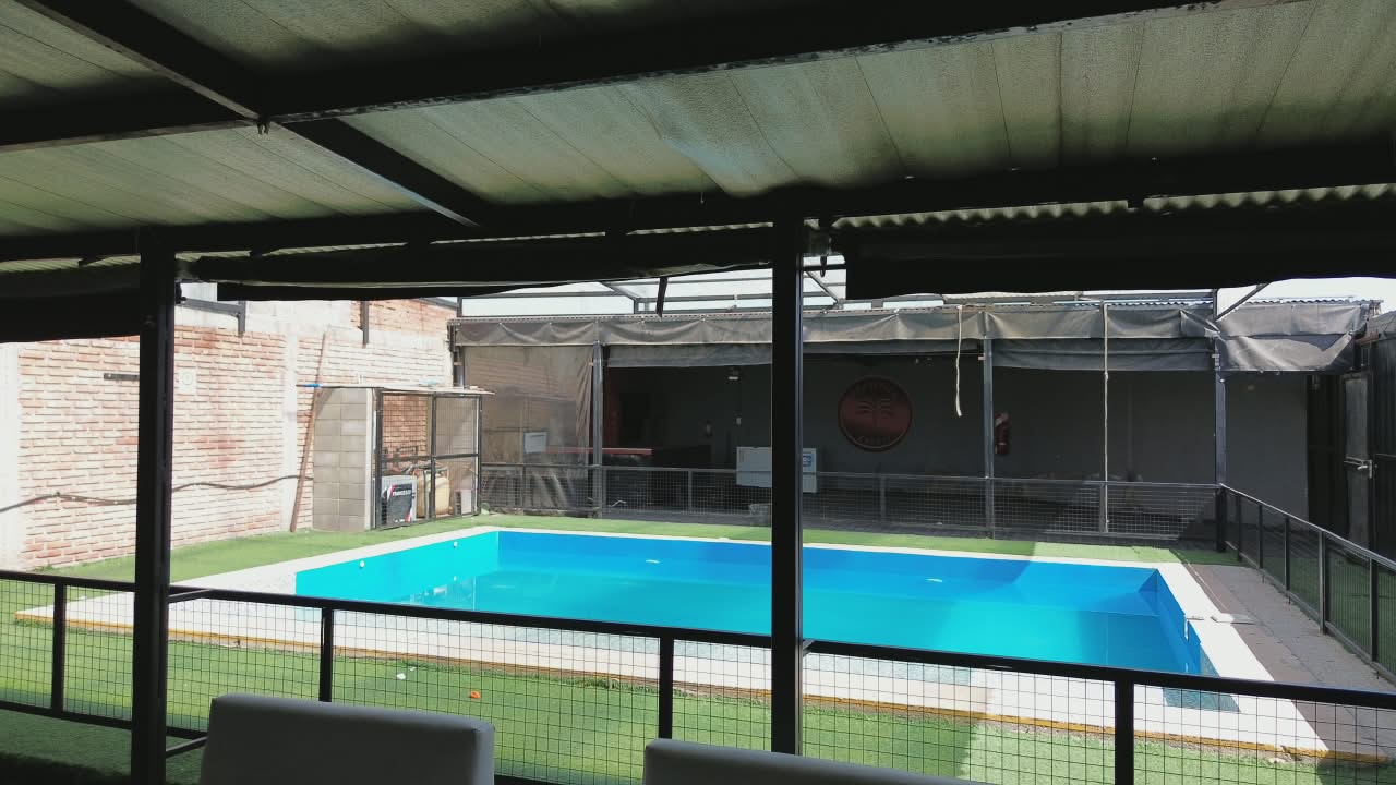 Pileta de día vista desde el lounge con césped